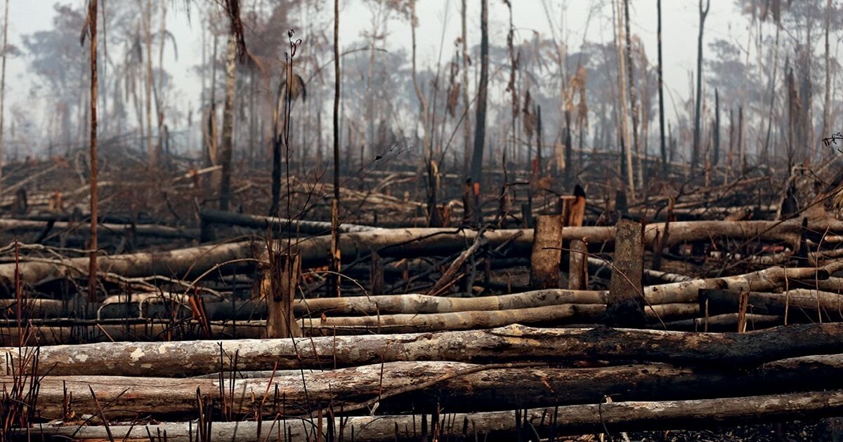 Desmatamento em terras indígenas na Amazônia provocou emissão de 96 milhões de toneladas de CO²