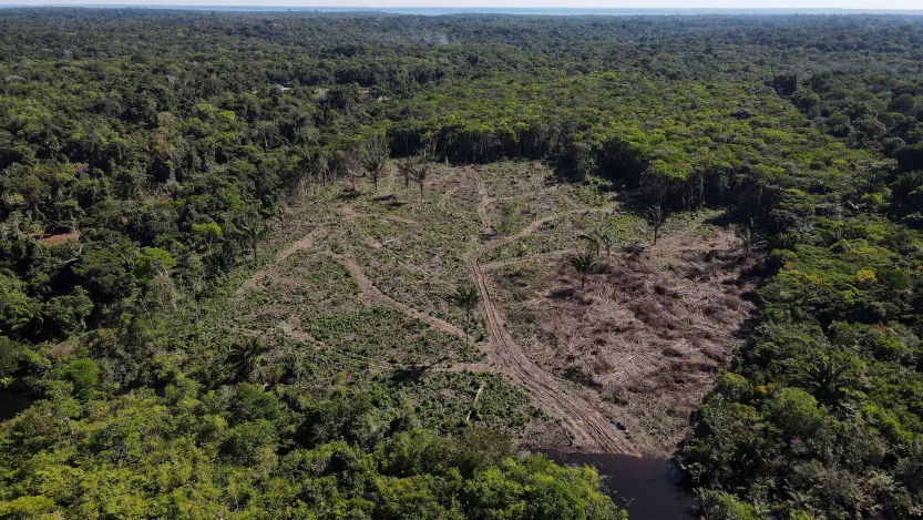 A informação foi divulgada durante o Fórum Virtual de Grandes Economias sobre Clima e Energia (Bruno Kelly/Reuters)