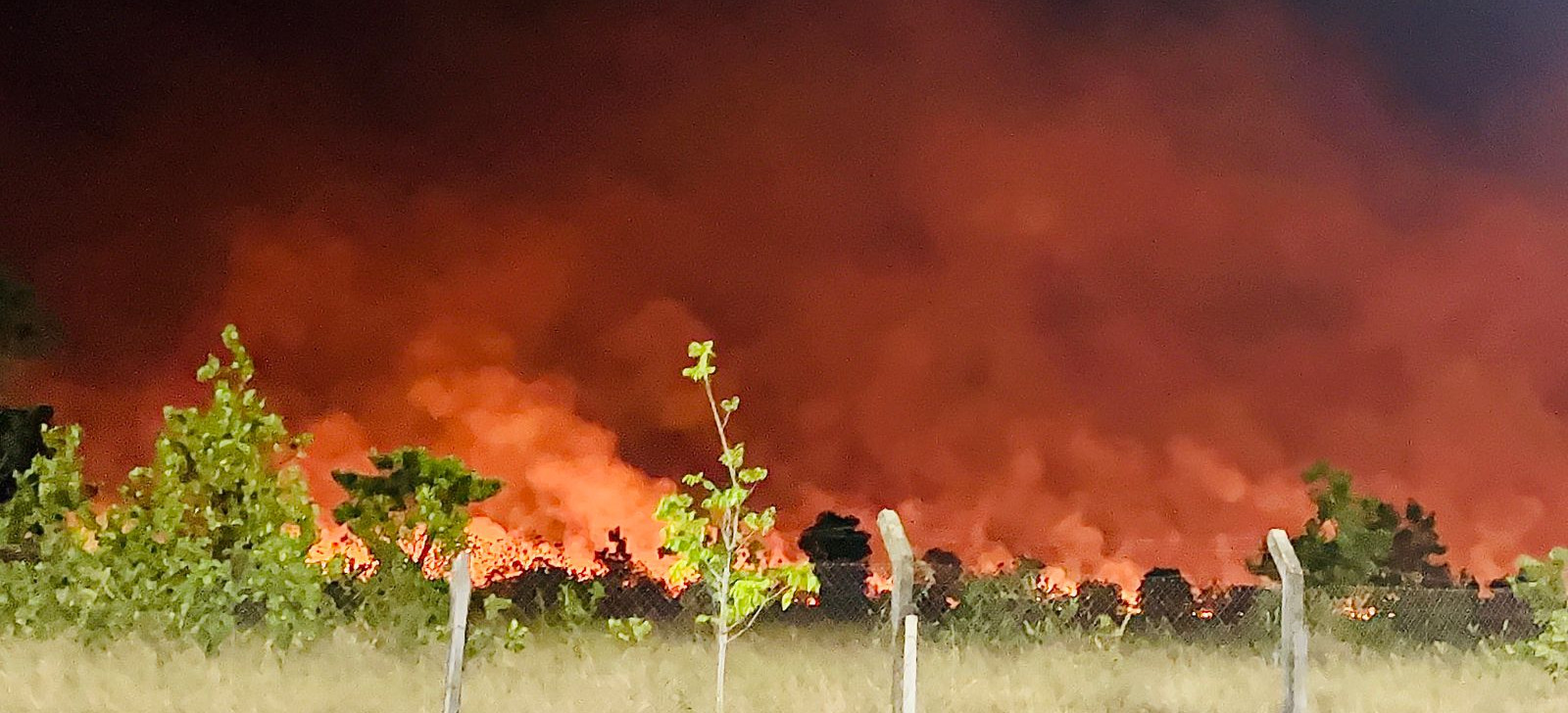 Boa Vista registra mais de 370 queimadas no primeiro trimestre de 2023