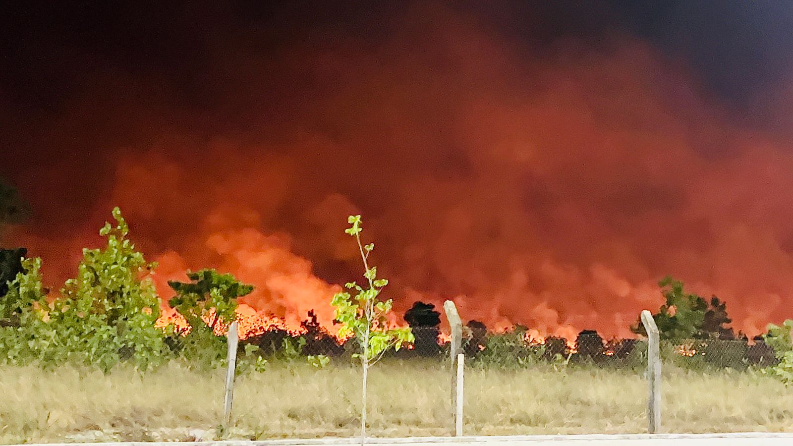 Boa Vista registra mais de 370 queimadas no primeiro trimestre de 2023