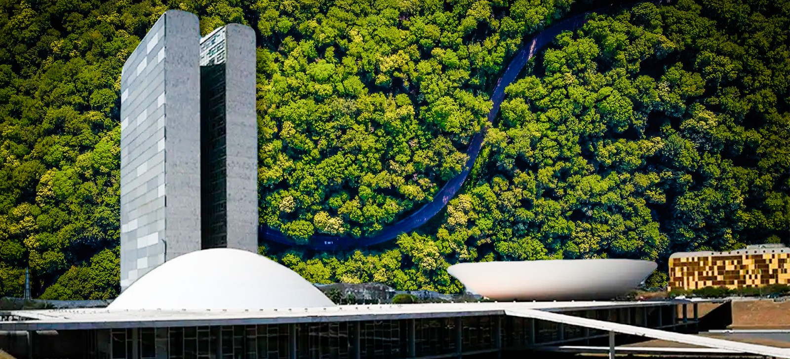 Mais de dez anos depois de primeira CPI, Senado volta a investigar ONGs na Amazônia