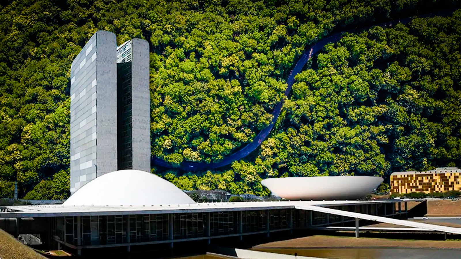 Mais de dez anos depois de primeira CPI, Senado volta a investigar ONGs na Amazônia