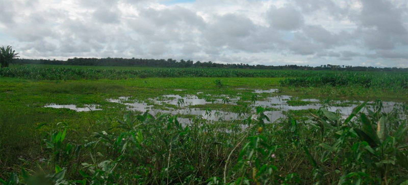 Justiça condena município no Maranhão por danos ambientais causados por estrada