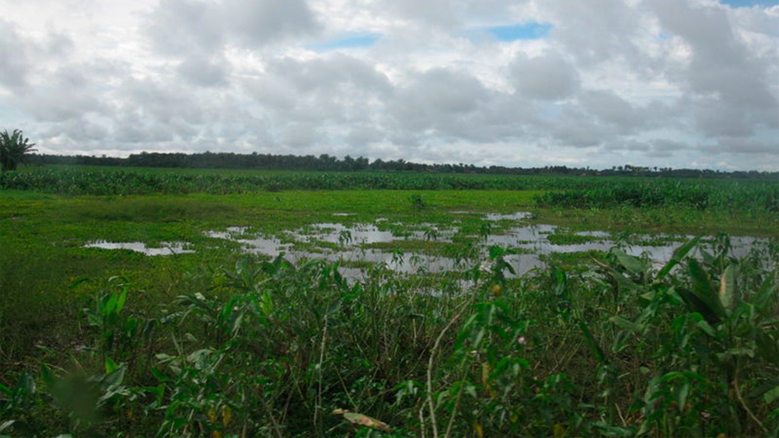 Justiça condena município no Maranhão por danos ambientais causados por estrada