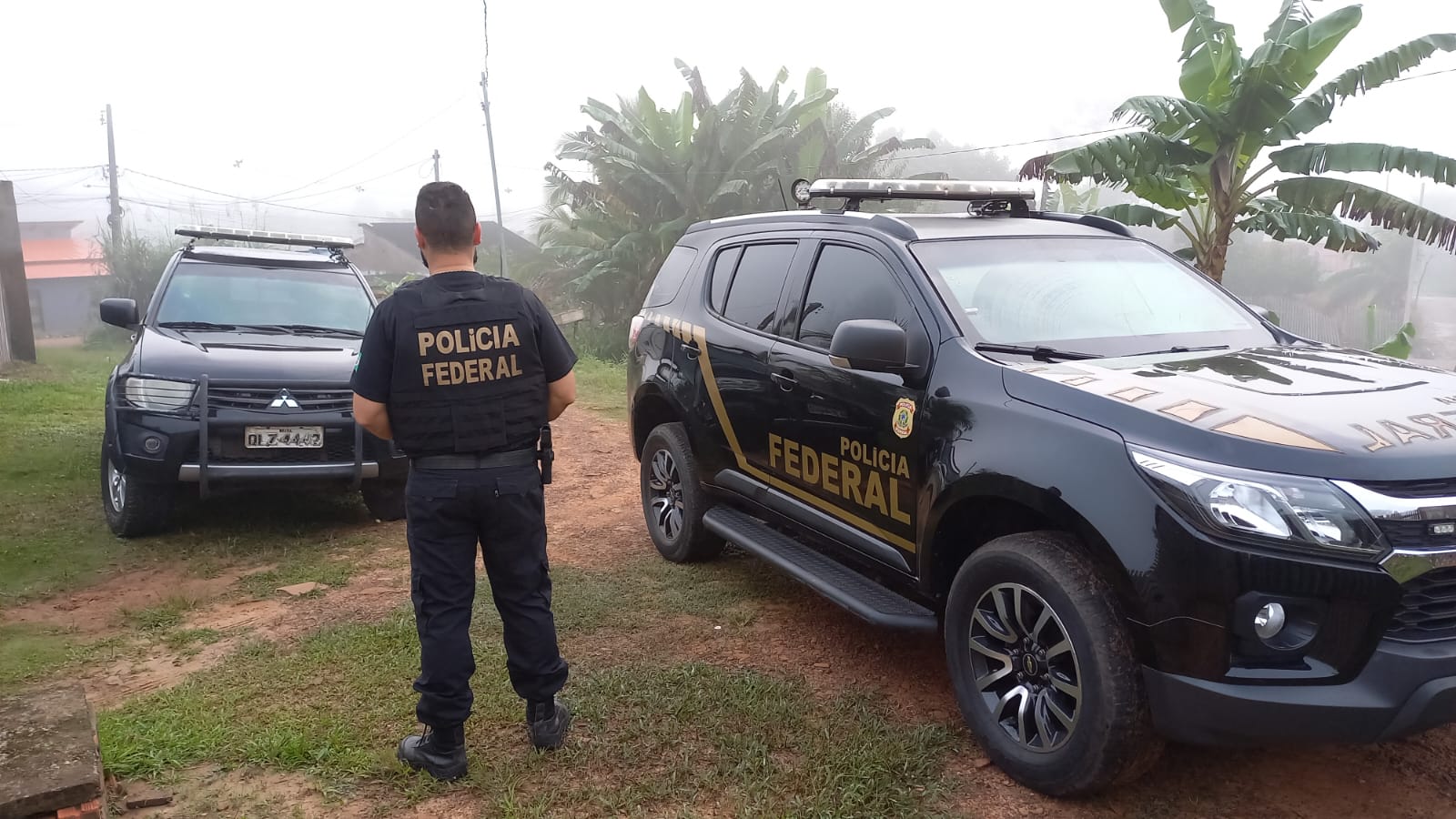 Operação da Polícia Federal mira tráfico de drogas em sete Estados