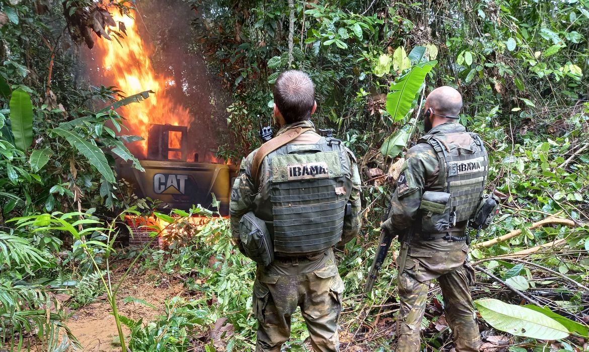 Incidência de queimadas reduz em 96% na Terra Indígena Yanomami