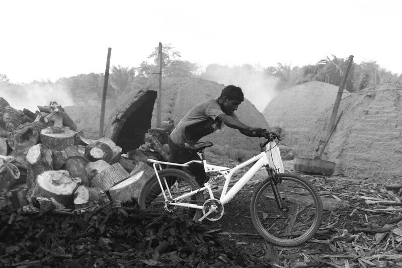 ‘Reféns do Carvão’: exploração de trabalhadores em carvoarias na Amazônia