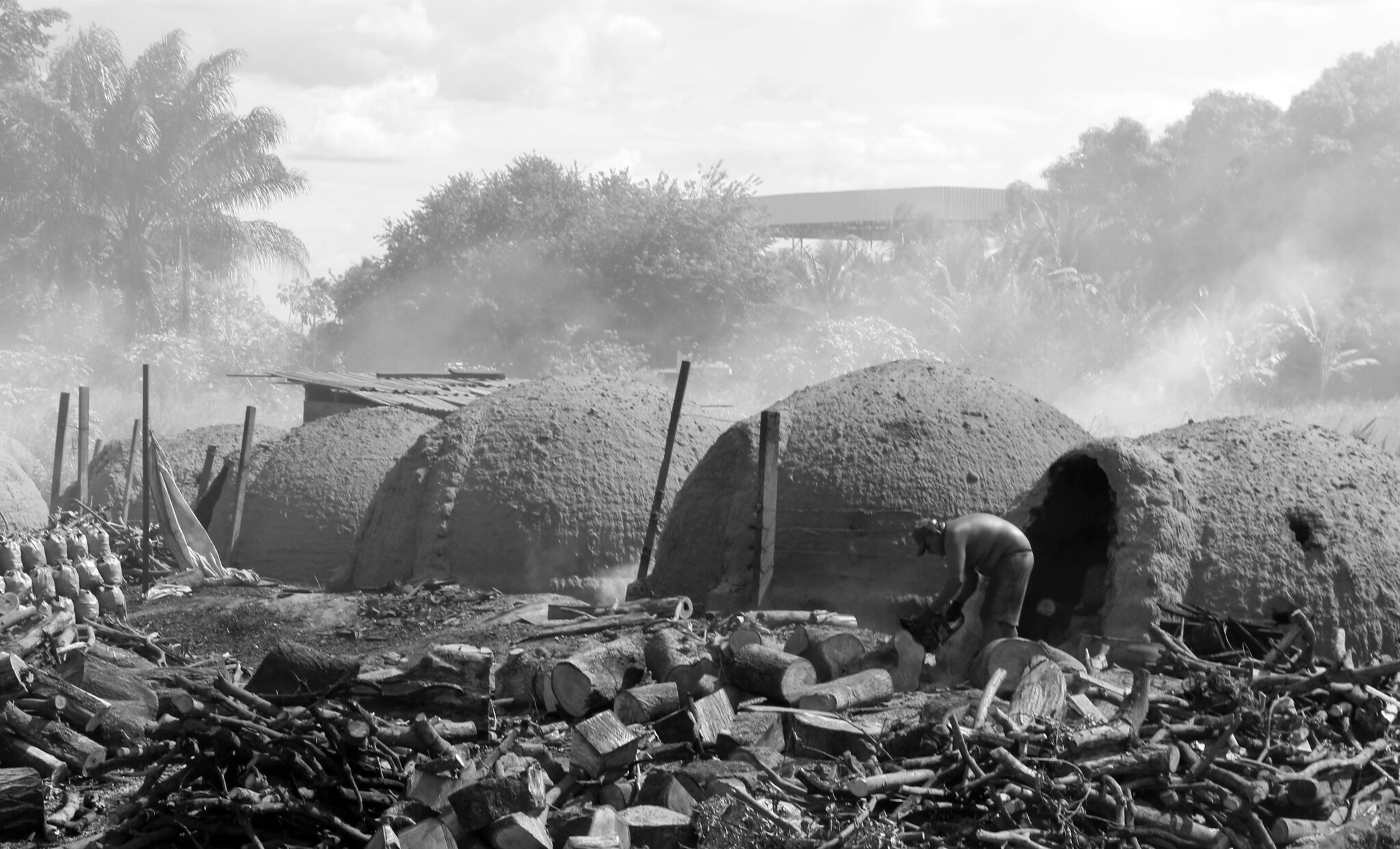 ‘Reféns do Carvão’: a rotina insalubre dos trabalhadores nas carvoarias de Roraima