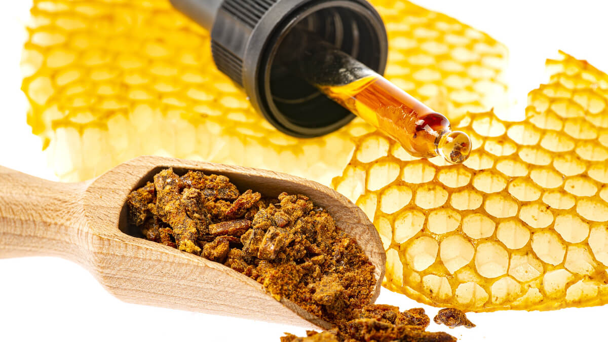 Benefícios do própolis: melhora imunidade e ameniza inflamação crônica em pessoas com HIV