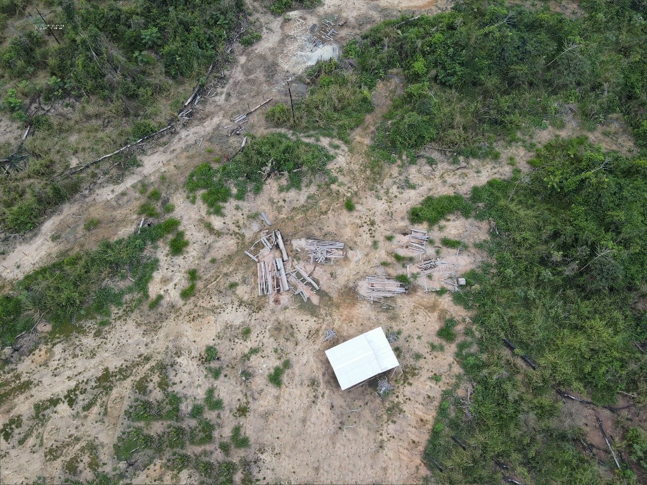 No Amazonas, operação do Ibama combate desmatamento no município de Lábrea