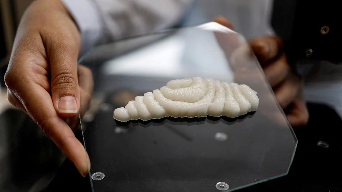 Empresa de tecnologia cria filé de peixe usando células animais produzidas em laboratório e impressas em 3D
