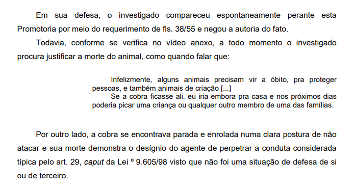 video da clara a capivara