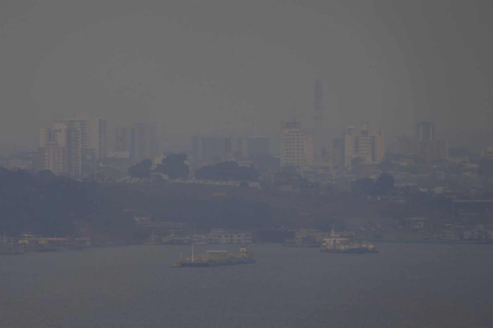 Estudo revela que fumaça de incêndios florestais mata 12 mil pessoas por ano