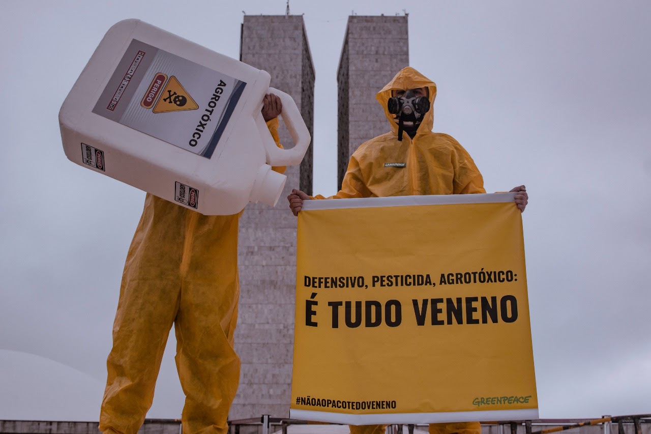 Greenpeace Brasil pede a Rodrigo Pacheco que não coloque o ‘Pacote do Veneno’ para votação