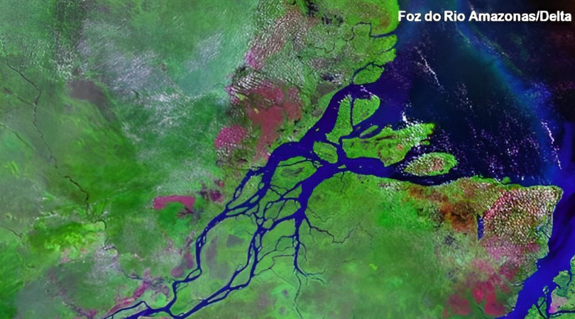 Greenpeace celebra decisão que veta exploração de petróleo na Foz do Amazonas