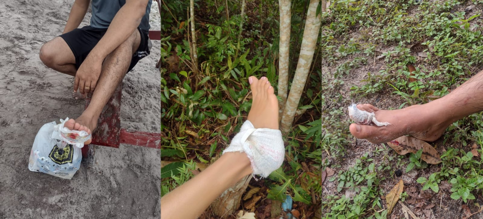 Piranhas que atacaram banhistas em Manaus migraram em busca de alimento, diz especialista