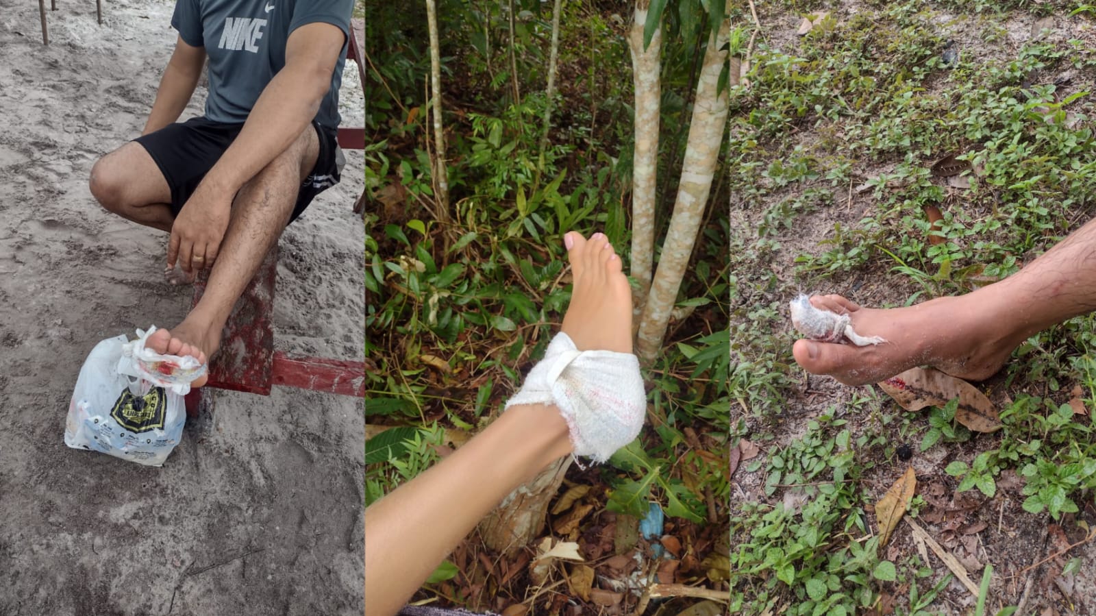 Piranhas que atacaram banhistas em Manaus migraram em busca de alimento, diz especialista