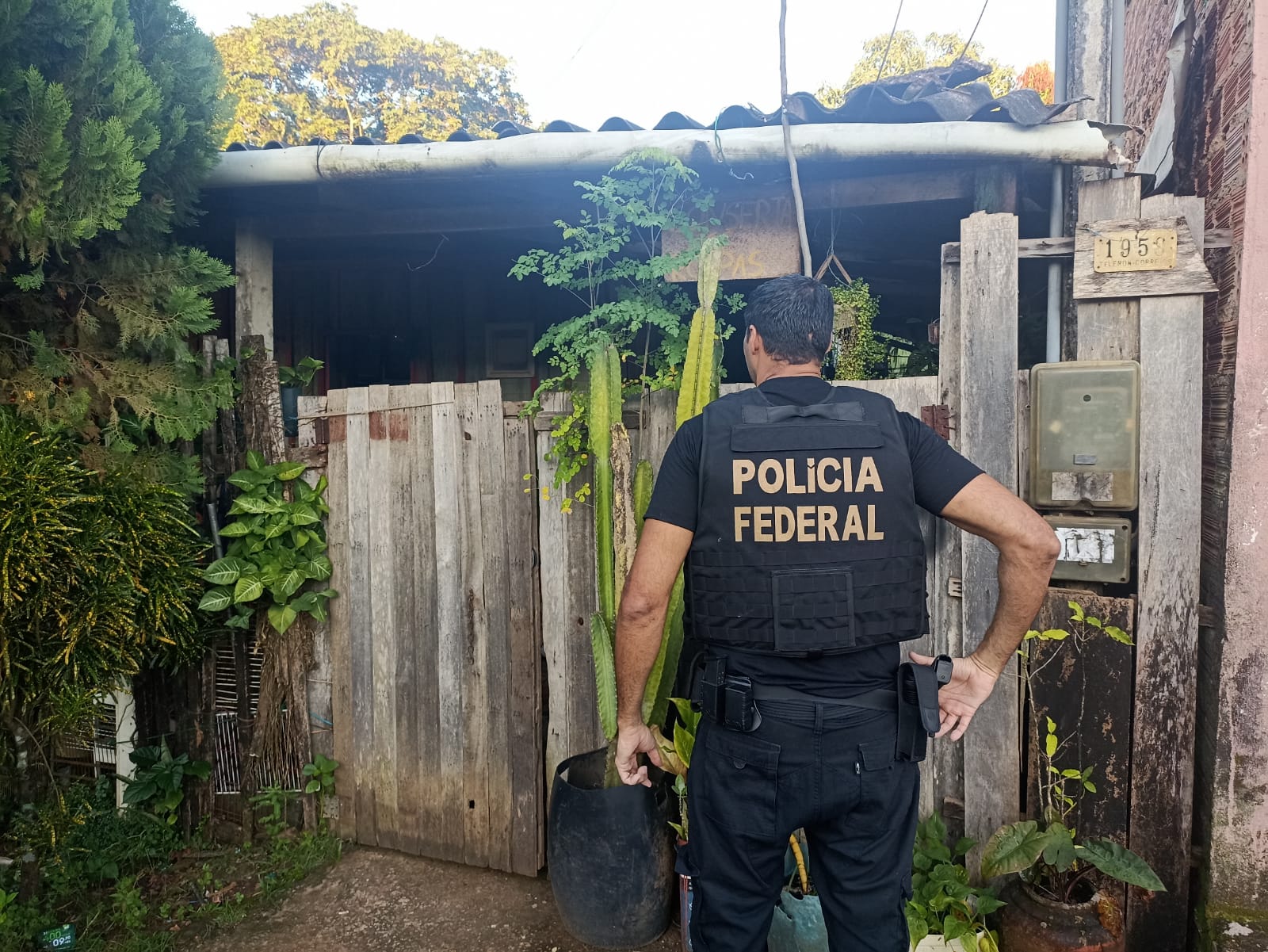 Homem é Preso Por Pornografia Infantil Em Porto Velho Após Denúncia De Ong Internacional