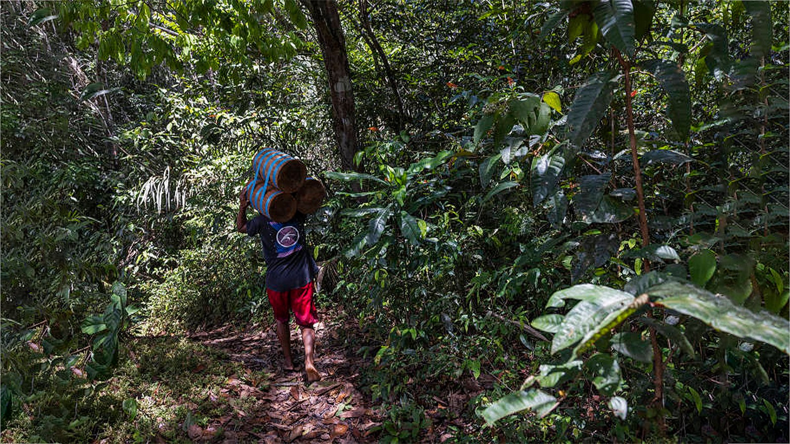 Demarcação de terra indígena no AM se arrasta há 16 anos na Funai