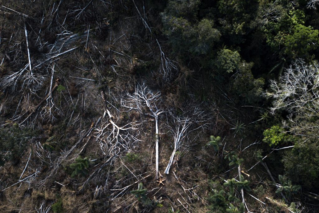 ‘The Amazon, Undone’: finalistas do Pulitzer falam sobre desafios de fazer jornalismo na Amazônia