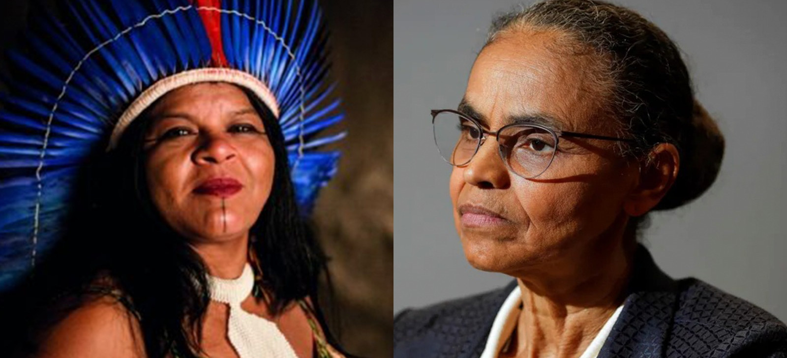 Especialistas criticam desmonte dos ministérios dos Povos Indígenas e do Meio Ambiente