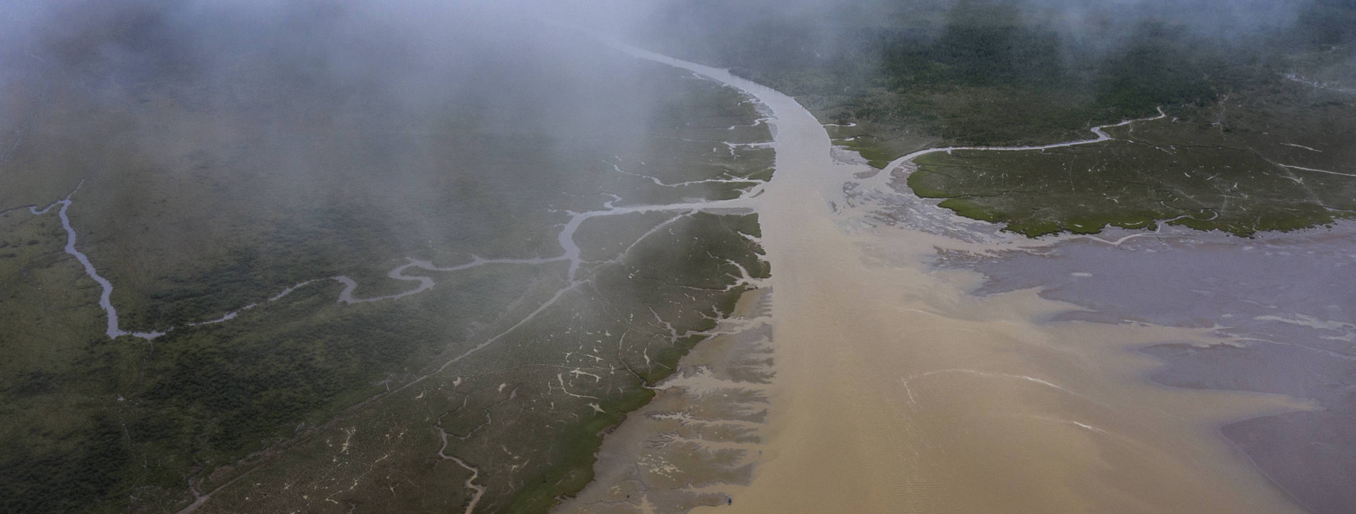 Hidrelétrica e búfalos alteram paisagem e impactam a vida de ribeirinhos no Amapá