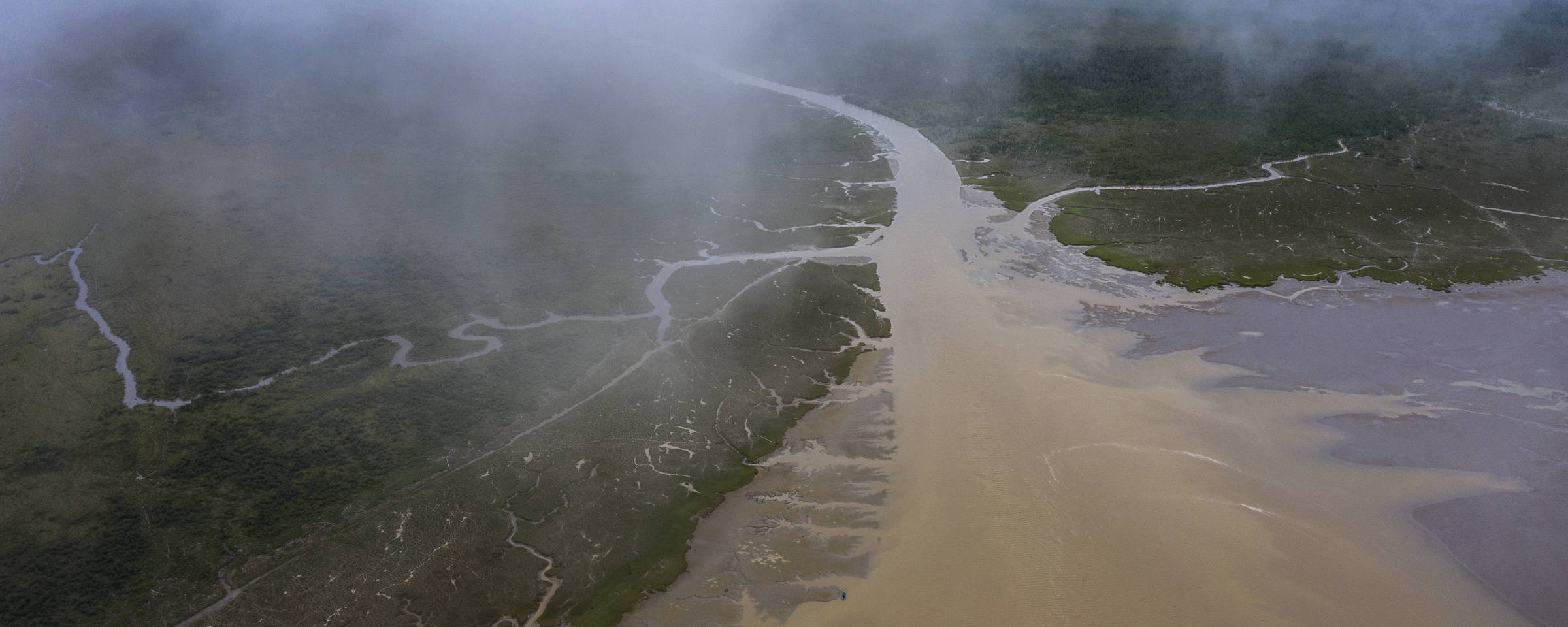 Hidrelétrica e búfalos alteram paisagem e impactam a vida de ribeirinhos no Amapá