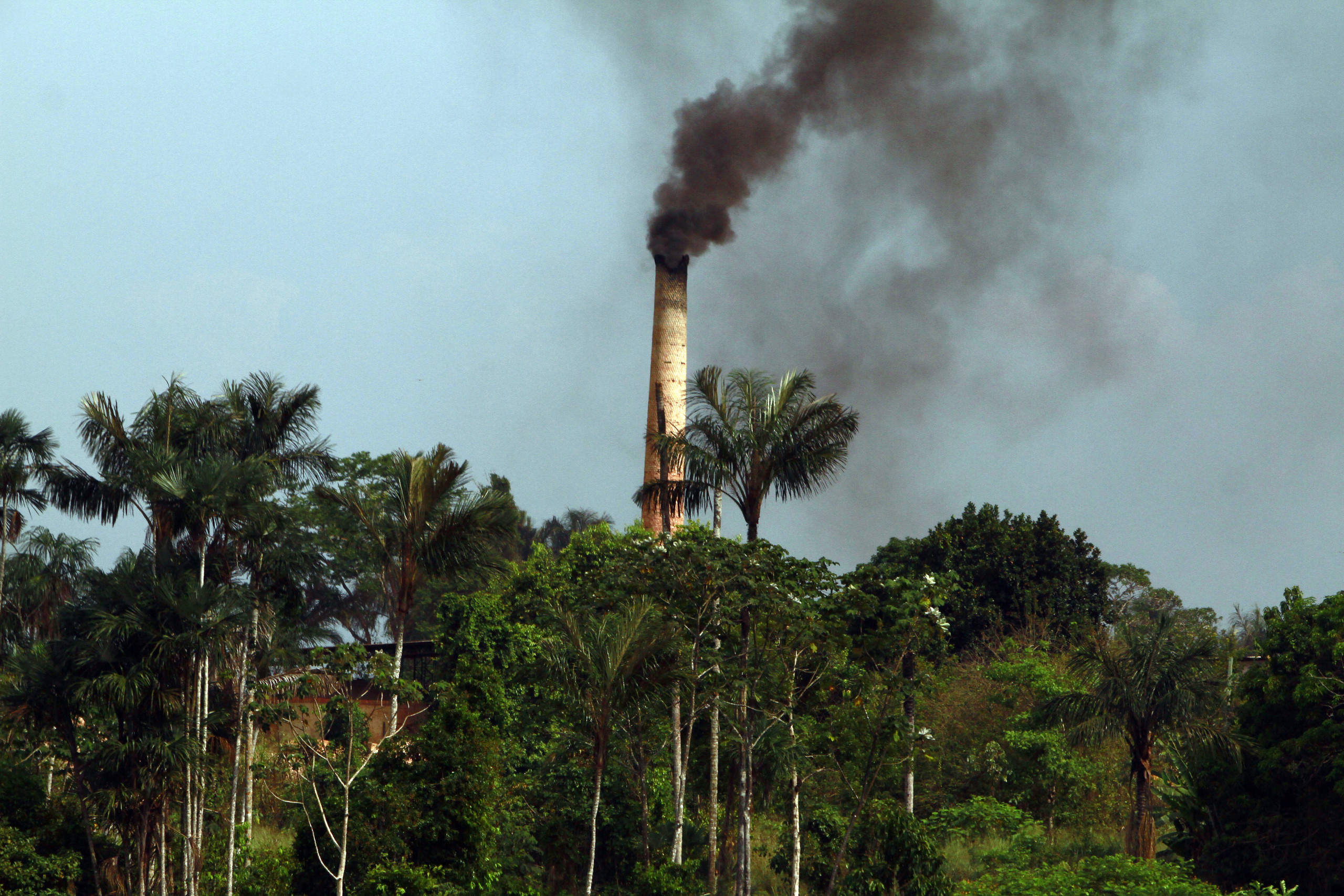 Mercado de Carbono: projeto pode ser votado antes da COP28