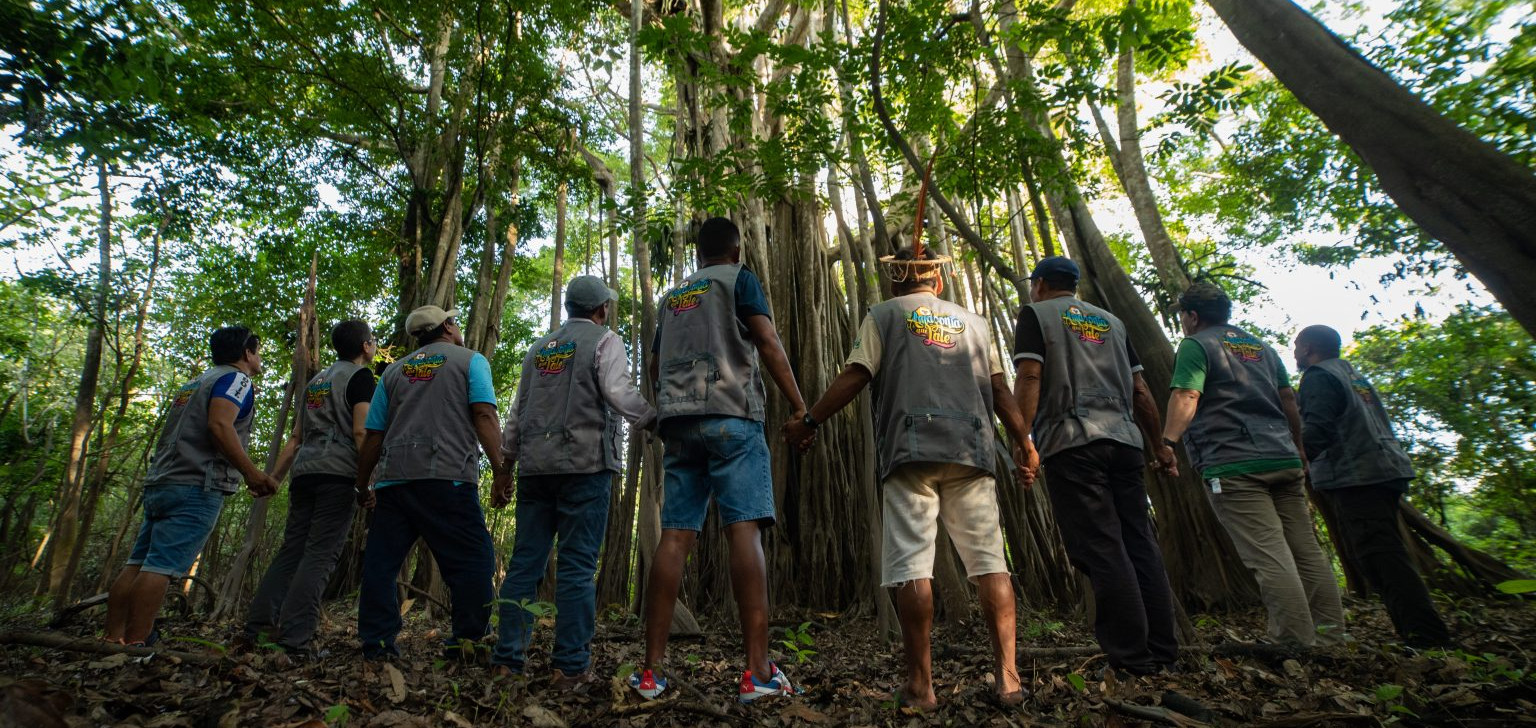 Entidades do Peru pedem criação de agenda ambiental entre países pan-amazônicos