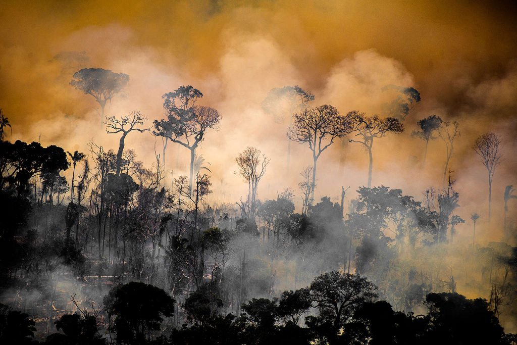 Foco de queimada. (Christian Braga/Greenpeace)