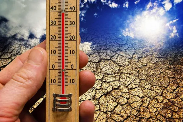 Brasileiros acreditam que o aquecimento global vai prejudicá-los, diz pesquisa