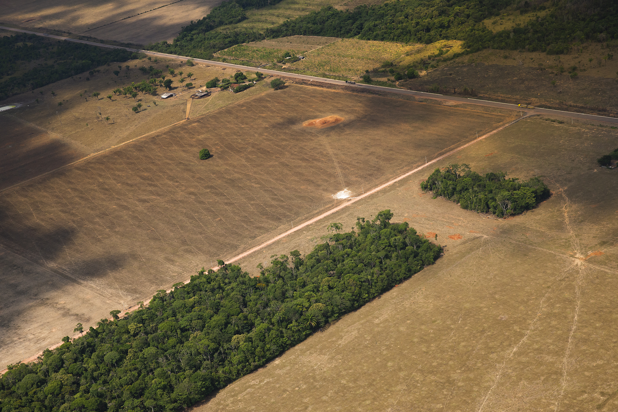 Alertas de desmatamento na Amazônia caem quase 40%