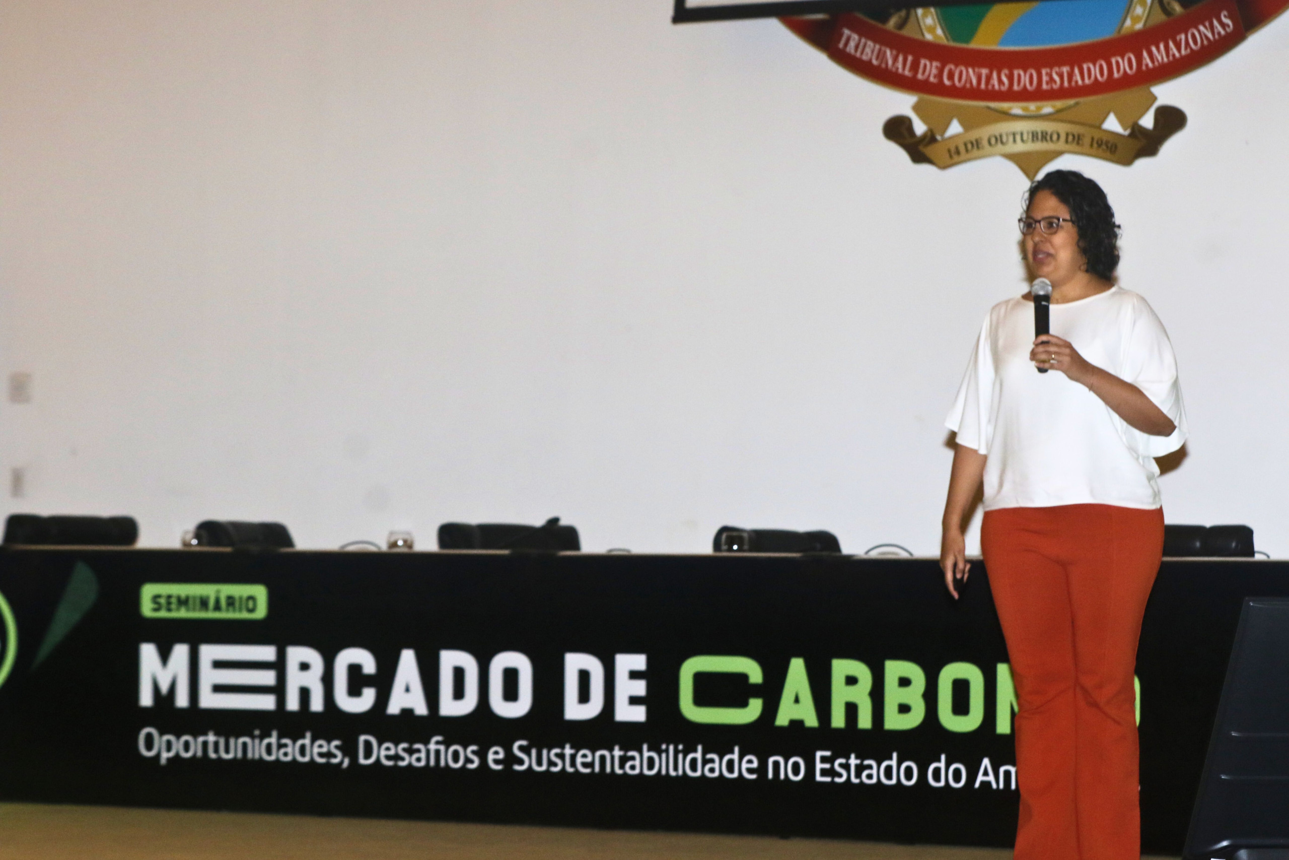Especialista diz que AM tem potencial para gerar mais crédito de carbono