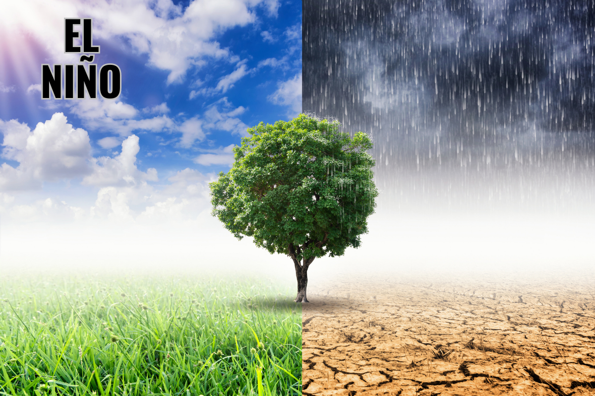 El Niño: Brasil deve experimentar estação seca no Norte e Nordeste e chuva nas regiões Sul e Sudeste