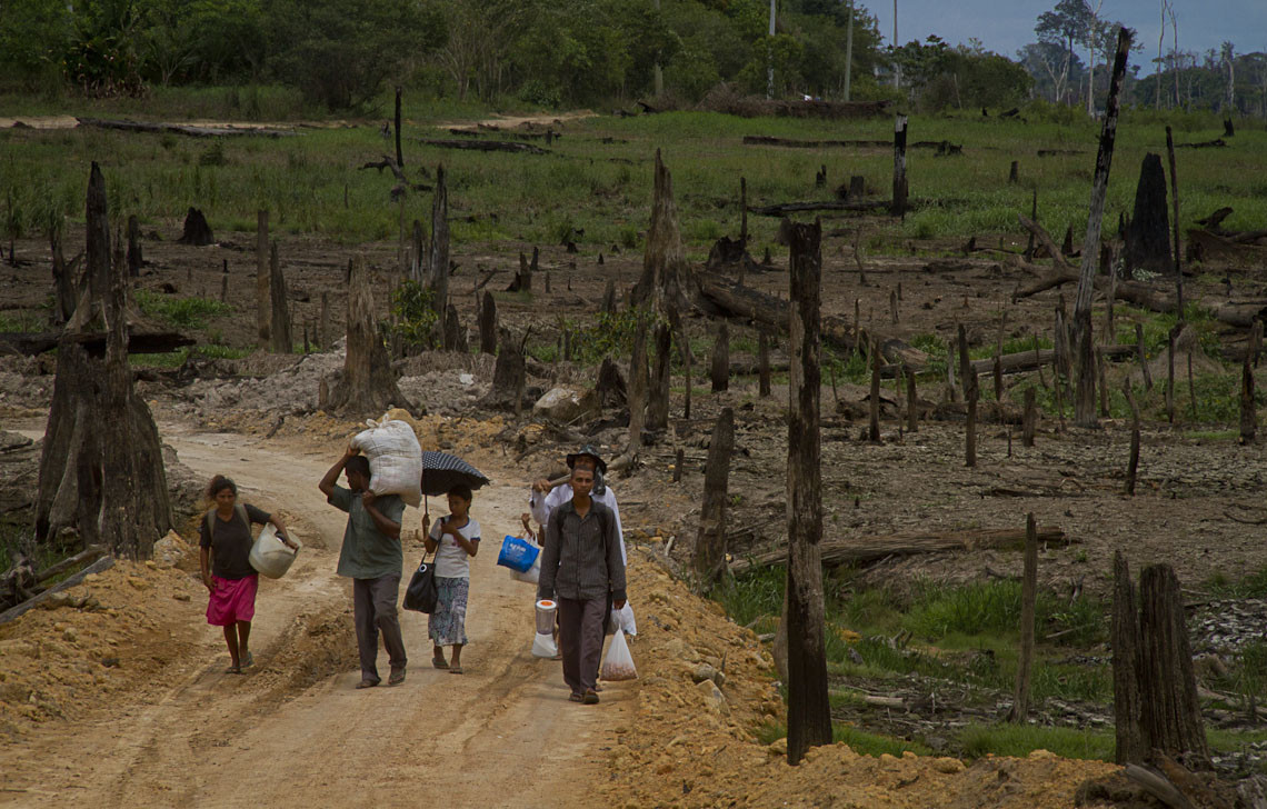 ‘Bolsa Verde’: governo retomará programa para auxiliar comunidades tradicionais da Amazônia