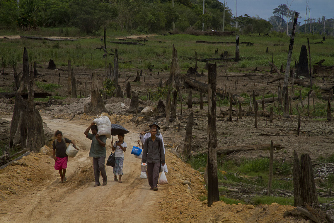 ‘Bolsa Verde’: governo retomará programa para auxiliar comunidades tradicionais da Amazônia