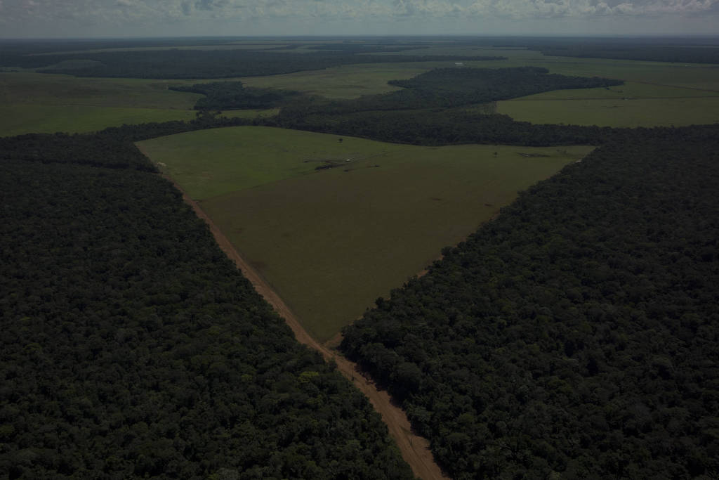 Fazenda Nova Andradina, mantida em área da Terra Indígena Batelão pelo vice-prefeito de Sinop (MT), Dalton Martini (Bruno Santos/12.mai.2023/Folhapress)