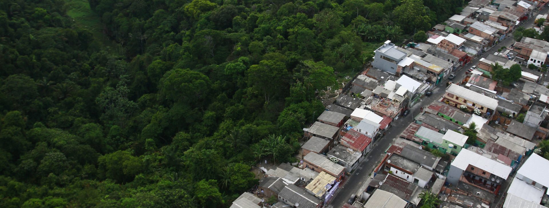 Mercado de Carbono: O crédito ‘verde’ da Amazônia