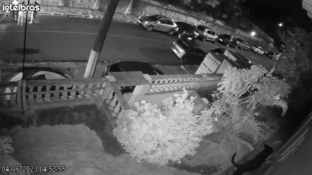 Feminicide attempt: man stabs ex-partner in AM; watch video