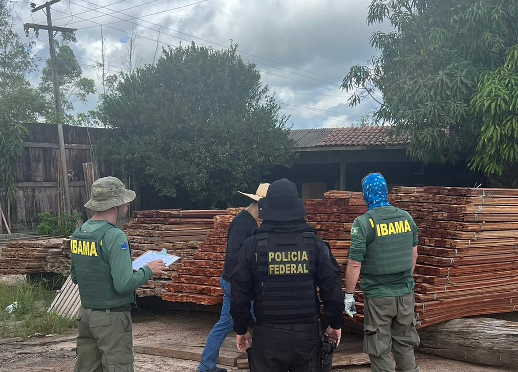 Empresas são autuadas por extração ilegal de madeira em terra indígena no Pará