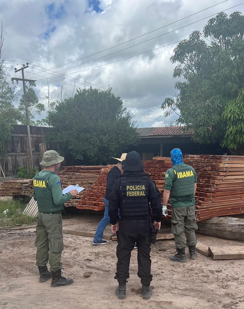 Empresas são autuadas por extração ilegal de madeira em terra indígena no Pará