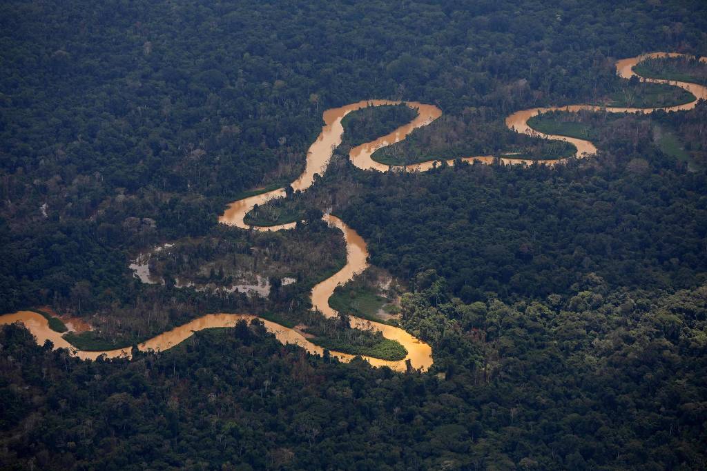 Em Roraima, ataque a tiros em Terra Yanomami deixa uma criança morta e cinco feridos