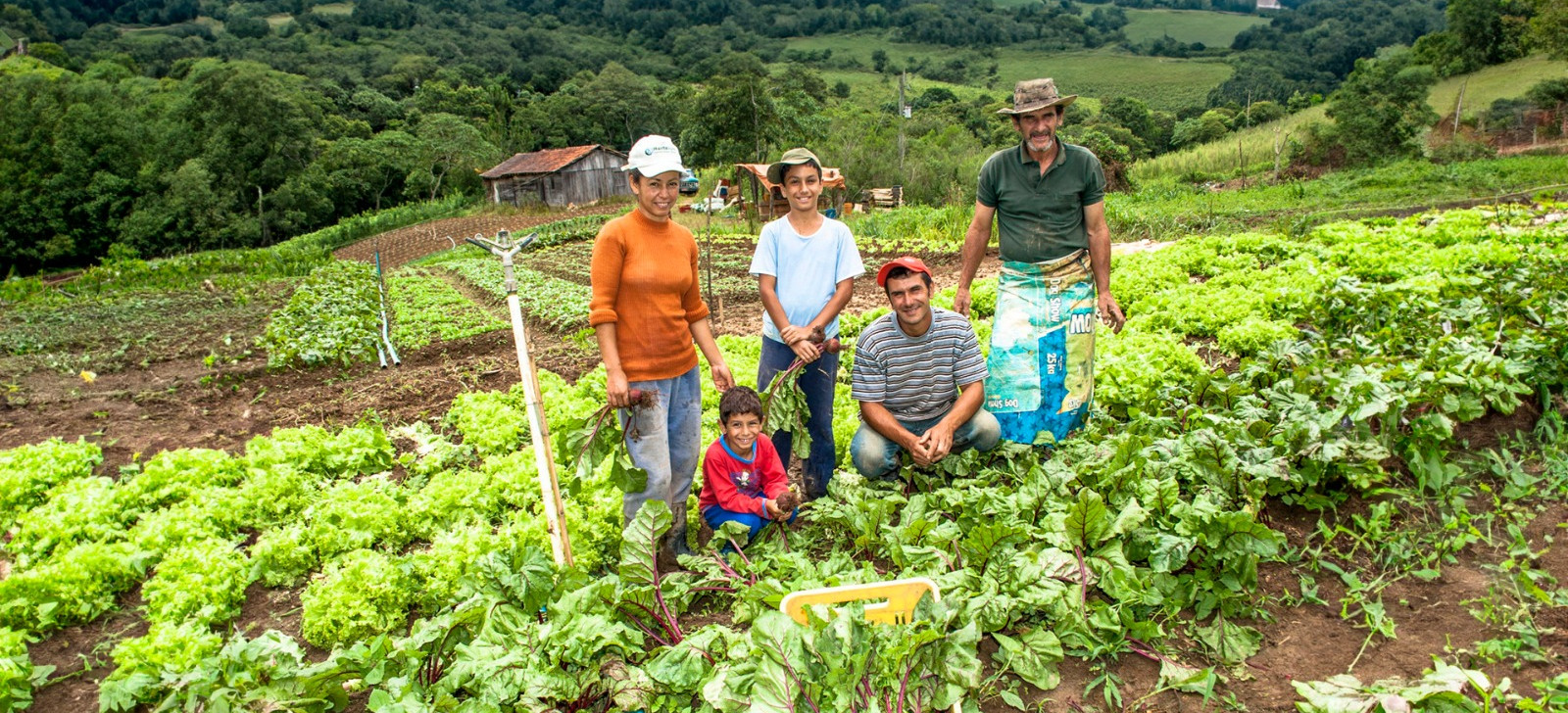 Trabalhadores rurais que retiram da agricultura familiar os alimentos e dinheiro para seu próprio sustento (Alf Ribeiro/Shutterstock.com)