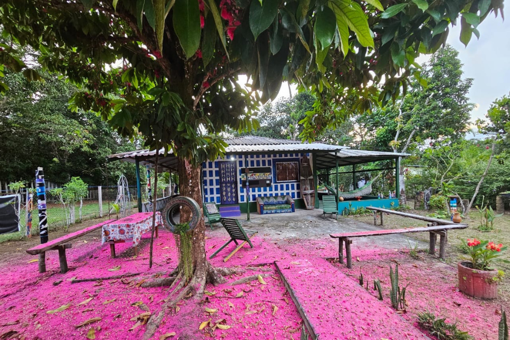 Prefeitura de Manaus realiza inscrições para a residência artística ArteNaMata 2023