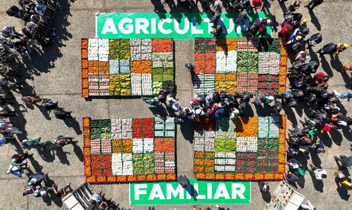 Foto feita de drone da exposição montada na praça dos Três Poderes, em Brasília (Foto: Ricardo Stuckert/ PR)