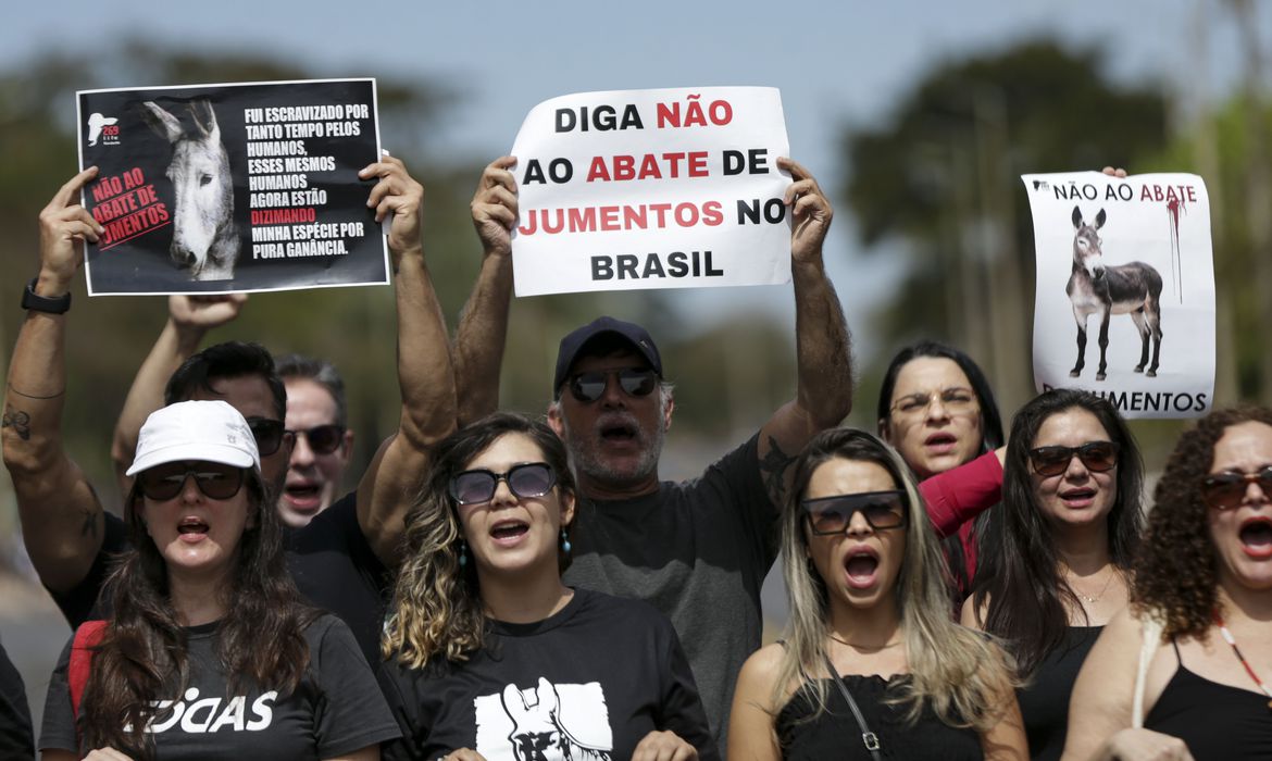 População faz manifestação contra abate de jumentos no Brasil