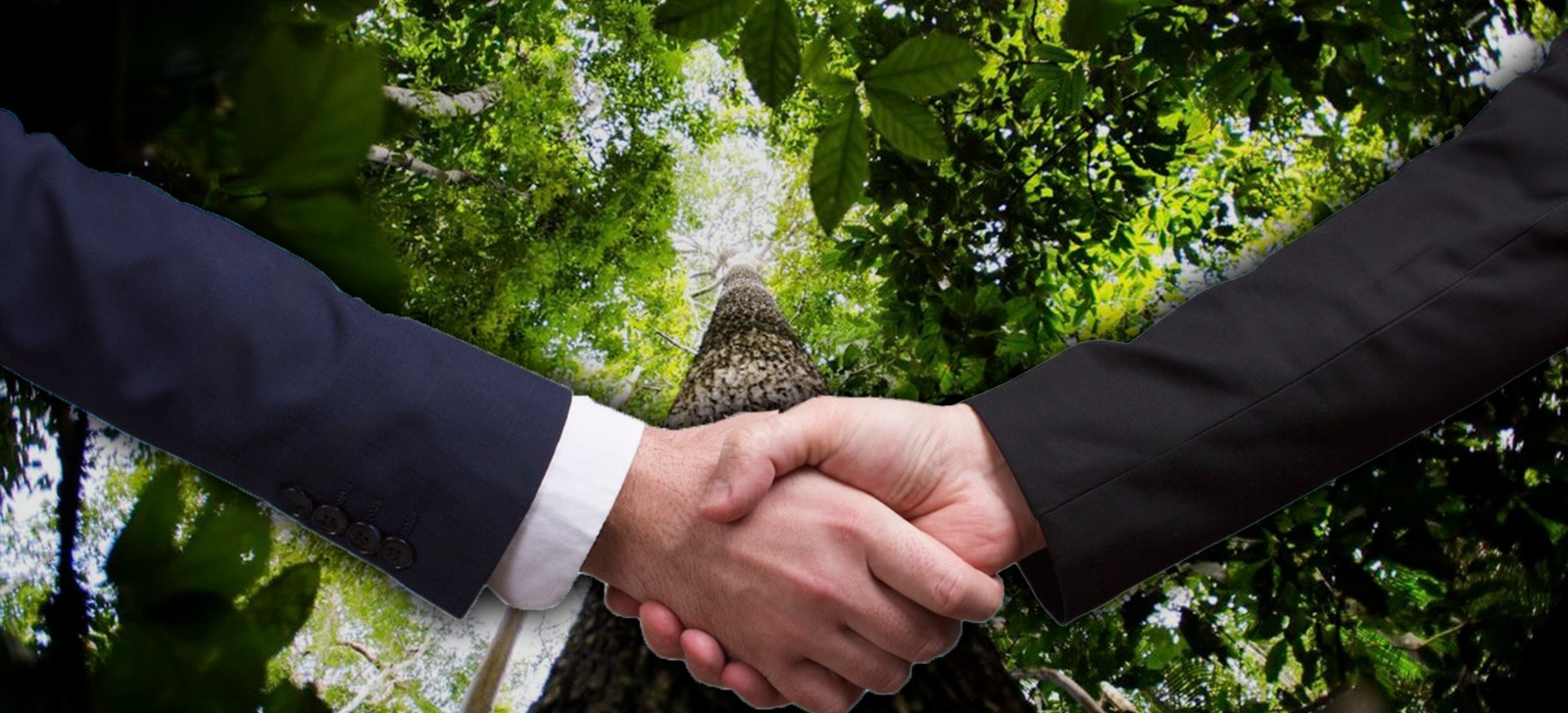 Cúpula da Amazônia no Pará vai fortalecer países da região em acordos internacionais, apontam ambientalistas