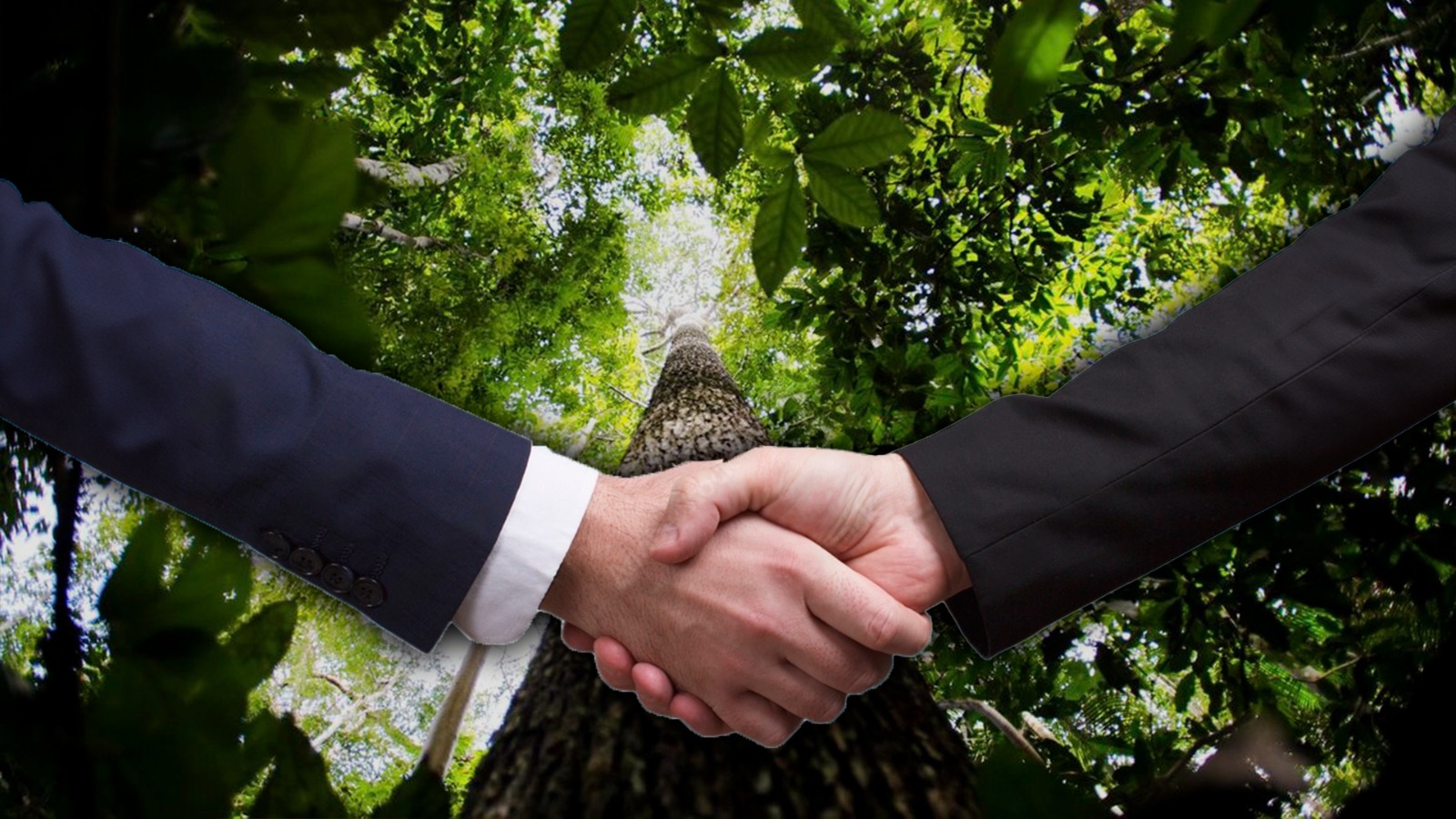Cúpula da Amazônia no Pará vai fortalecer países da região em acordos internacionais, apontam ambientalistas