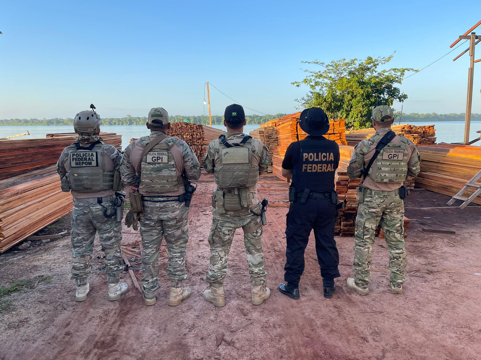 PF fecha serrarias ilegais e prende um homem em flagrante no Pará