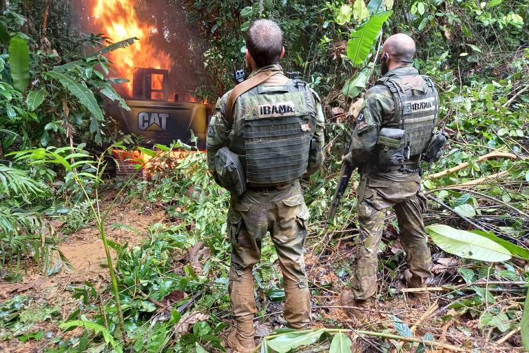 Terra Yanomami: Pilotos de aeronaves utilizadas em garimpo são investigados pela PF